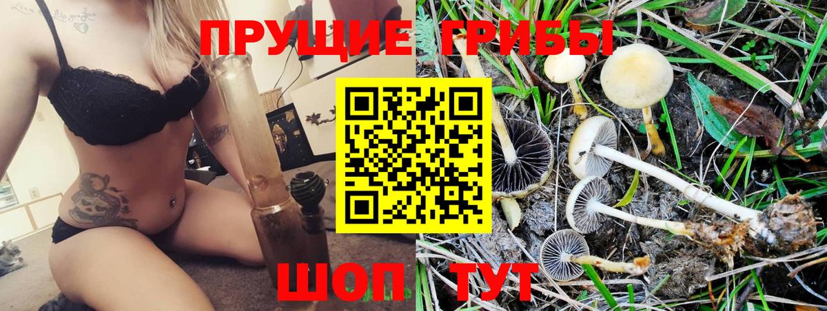 Лянтор  Галлюциногенные грибы GOLDEN TEACHER  Вход с VPN  Псилоцибиновые грибы MAGIC MUSHROOMS 