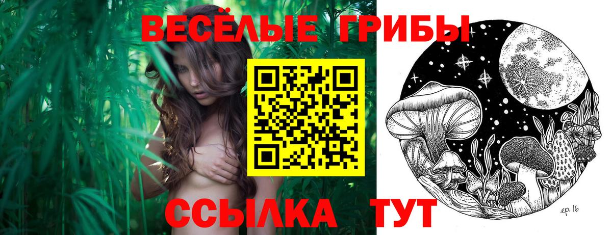 Галлюциногенные грибы MAGIC MUSHROOMS Лянтор